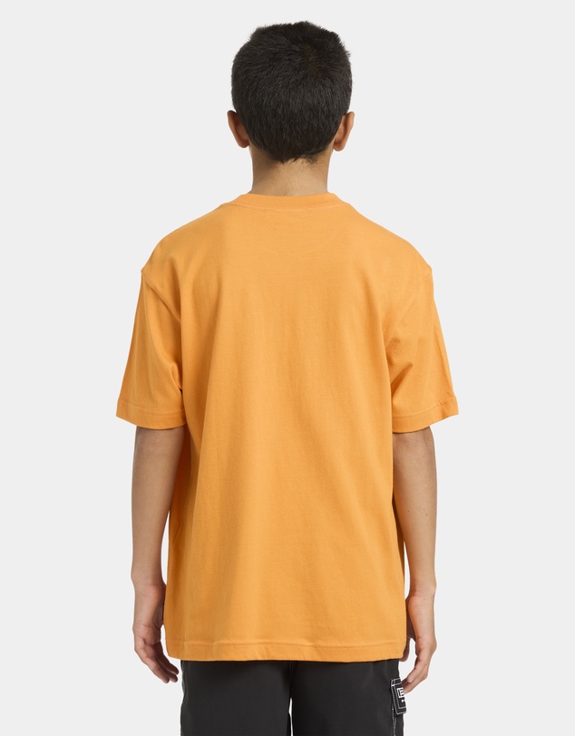 Billabong Kids - Boys 8 to 16 Spec 73 T-Shirt