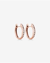 Michael Hill - Huggie Earrings with 0.25 Carat TW of Diamonds in 10kt Rose Gold
