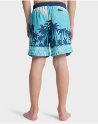 Quiksilver - Boys 8 to 16 Everyday Printed 14