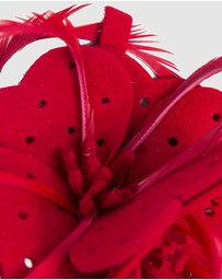 Max Alexander - Felt Red Flower Fascinator