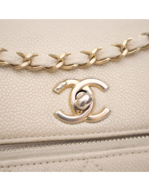 Pre-Loved by Azura Reborn - Pre-Loved Caviar Business Affinity Messenger Flap