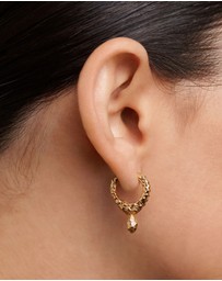 PDPAOLA - Lava Earrings
