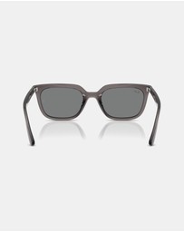 Ray-Ban - RB4439D