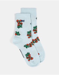 Bobo Choses - Juicy Tomatoes All Over Shorts Socks - Kids