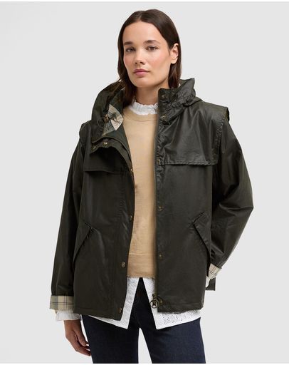 Archive Olive & Ancient