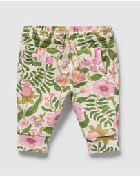 Wilson & Frenchy - Organic Terry Sweat Pants - Babies
