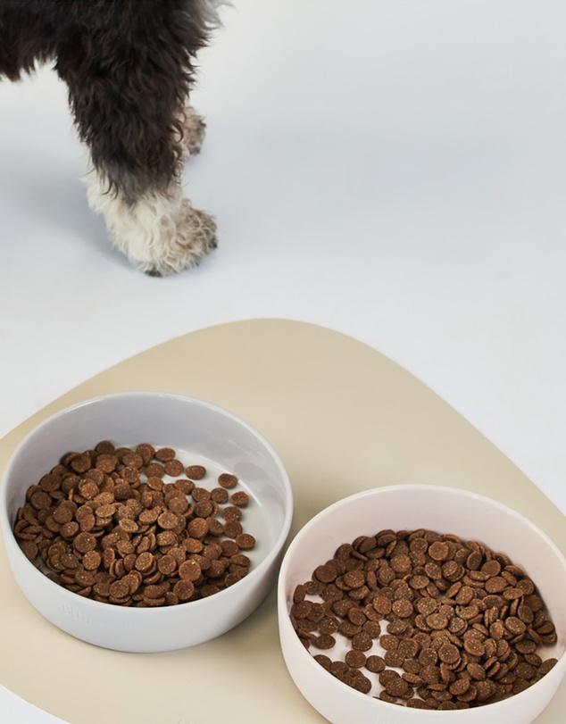 Lilly + Dash - Cat Eat and Drink Set – 2 Bowls + Lick Insert + Sand Placemat