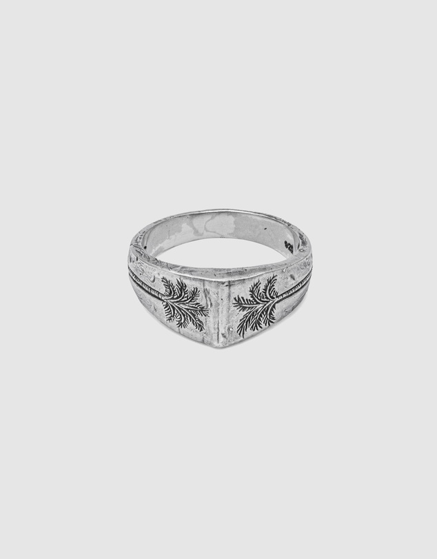 Haze & Glory - ICONIC EXCLUSIVE - Coconut Society Signet Ring in 925 Silver