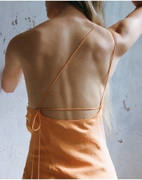 FRIEND of AUDREY - Sabine Cupro Tie Dress
