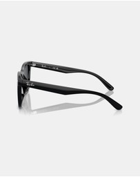 Ray-Ban - 0RB4420