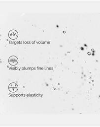 The Ordinary - Volufiline* 92% + Pal-Isoleucine 1%