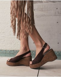 Novo - Belief Wedges