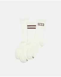 Seed Heritage - Teen Assorted 3 Pack Sock