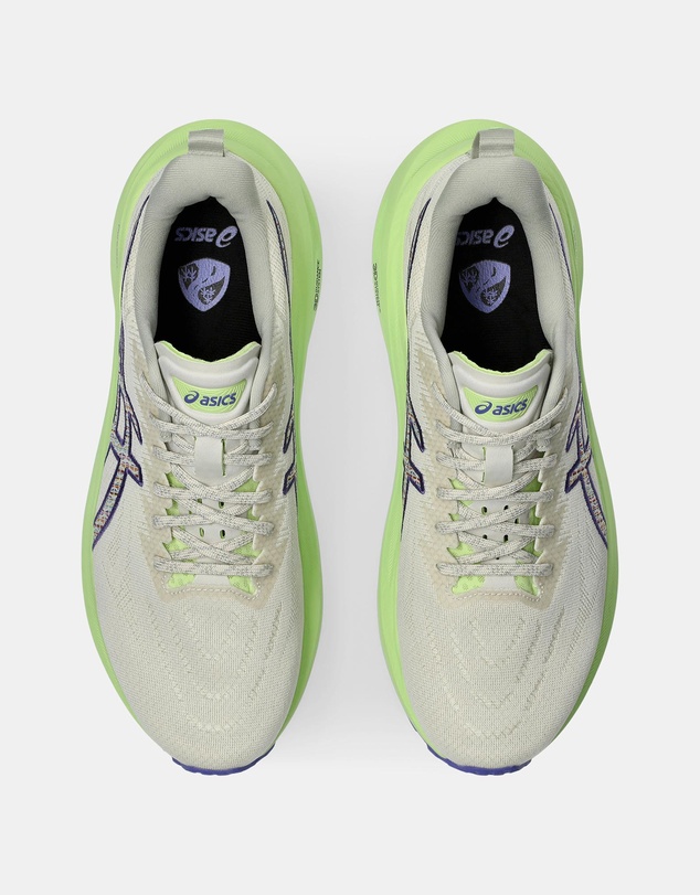 ASICS - GT-2000 13 TR (Nature Bathing) - Men's