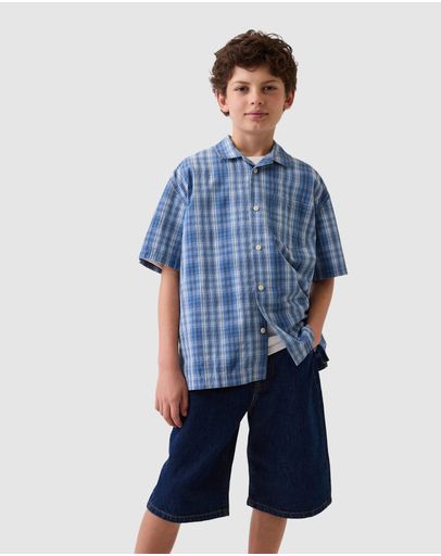 Blue Plaid