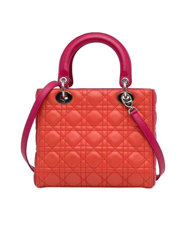 Pre-Loved by Azura Reborn - Pre-Loved Diorama Lady Dior Handbag