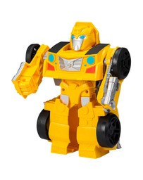 TRANSFORMERS - Evergreen Featured Assorted