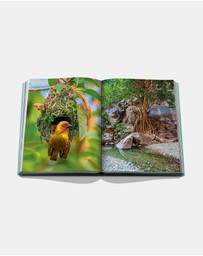 Assouline  - Red Sea: The Saudi Coast