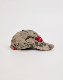 Insight - Fifty One Cap