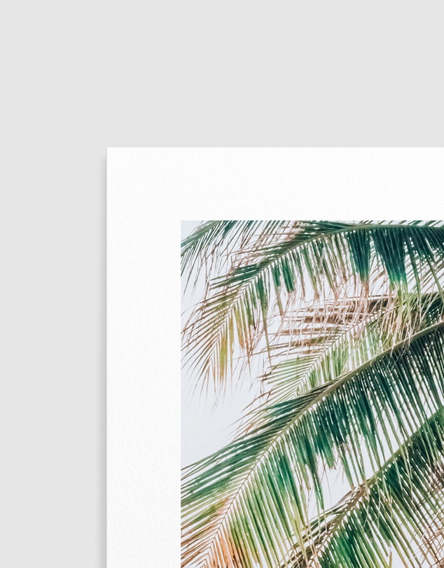 Olive et Oriel - Maldivian Palm II Art Print