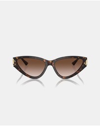 Jimmy Choo - 0JC5019