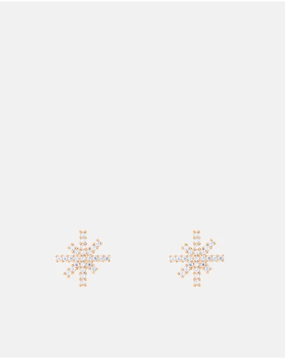 Daniel Wellington - Mirelle Star Earring RG