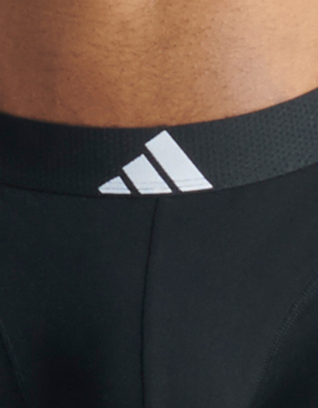 adidas Sportswear - 2 Pack Active Flex Cotton Body Trunk Underwear