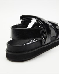 Senso - Zina II