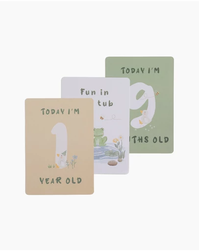 Living Textiles - Milestone Cards - Goosey Goosey