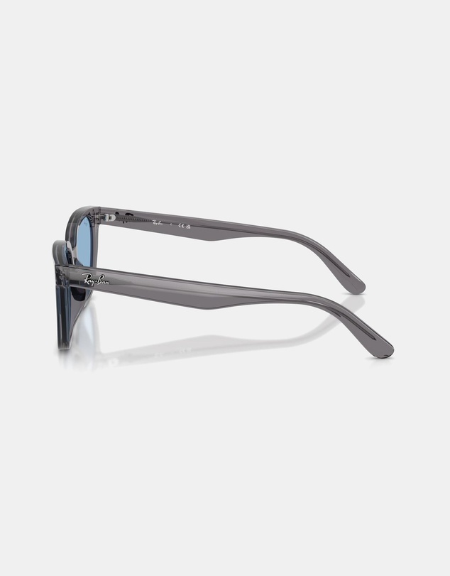 Ray-Ban - 0RB2243D