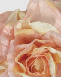 Max Alexander - Large Flower Fascinator Headband