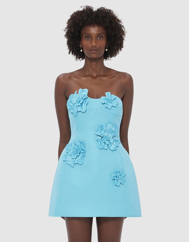 Rosario Floral Applique Bustier Mini Dress by LEO LIN Online | THE ICONIC |  Australia