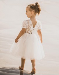Bebe by Minihaha - Lace Bodice with Back Bow Dress - Babies