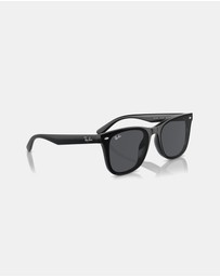 Ray-Ban - 0RB4420