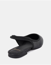 Novo - Cassey Flats
