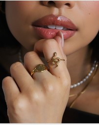 HOUSE OF SLANI - Flat Natura Signet Ring