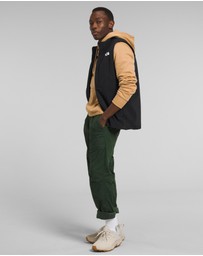 The North Face - Apex Bionic 3 Vest