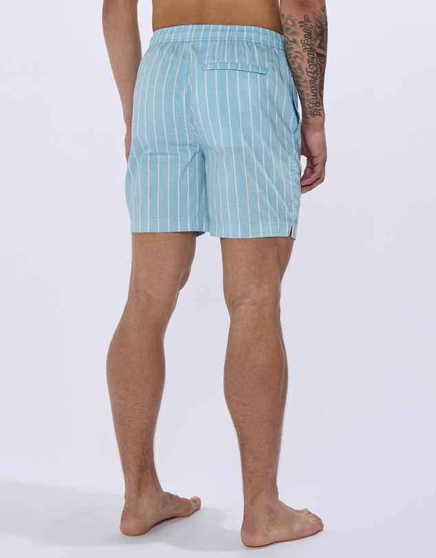 Marcs - Brad Stripe Swim Shorts