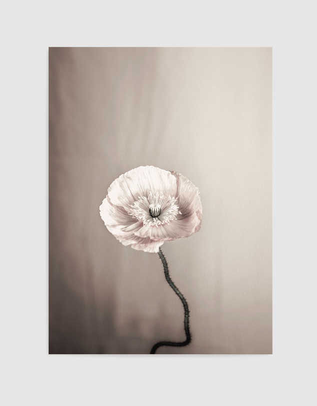 Olive et Oriel - Femme Fleur Art Print