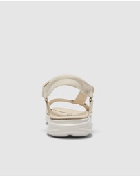 Active Flex - Native