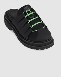 Rollie - Mule Hiker