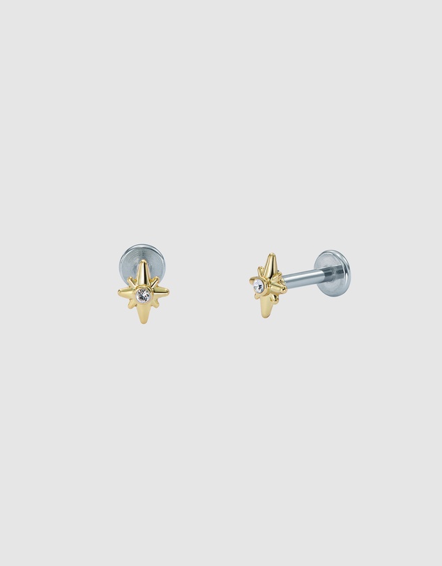 Ted Baker - SURI: Star Charm Crystal Micro Stud Earrings