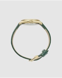 Maxum - Sydney - White Dial, Gold Tone Case & Green Leather Band