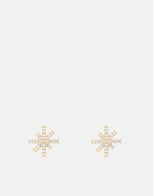 Daniel Wellington - Mirelle Star Earring G