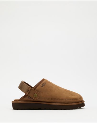 Dark Chestnut