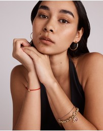 Michael Hill - 30mm Rounded Flat Hoop Earrings in 10kt Yellow Gold