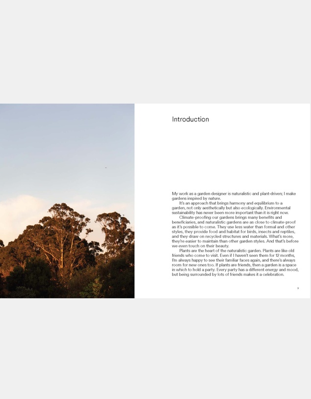 Brumby Sunstate - Wild by Design