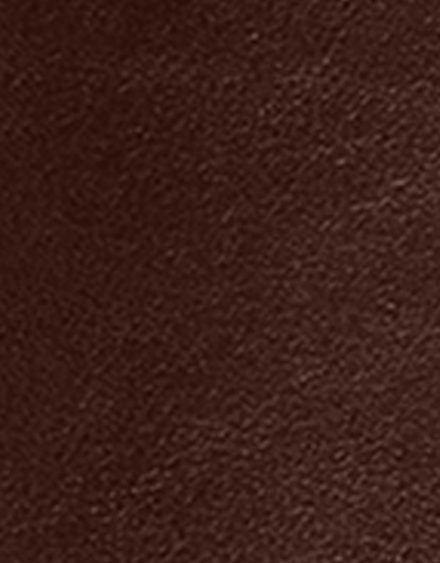 Coach - Glazed Leather Empire Carryall 34