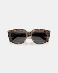 Ray-Ban - Doreen