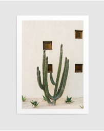 Olive et Oriel - Cabo Cactus Ix by Bethany Young Art Print